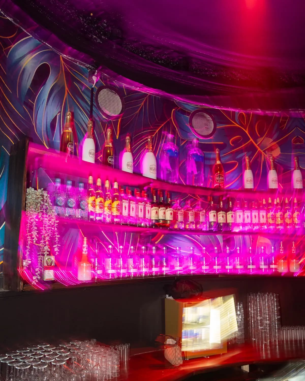 Baren i rosa neonljus med flaskhyllorna och den målade väggen