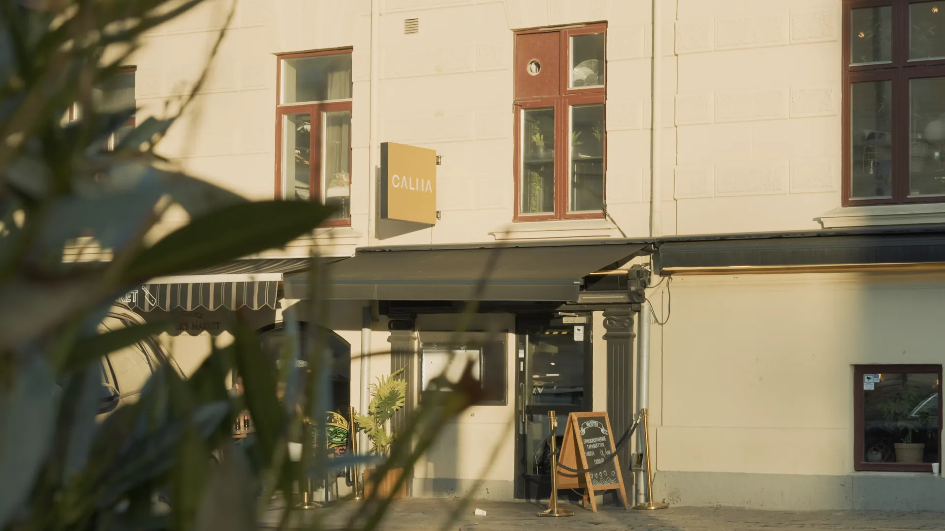 Entrén på Storgatan med växter i förgrunden