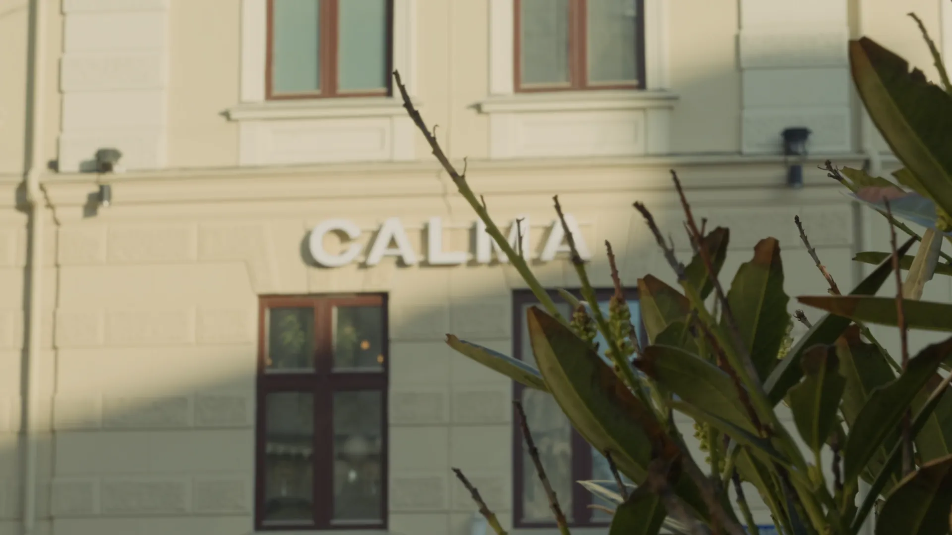 Calma-skylten på fasaden bakom gröna växter